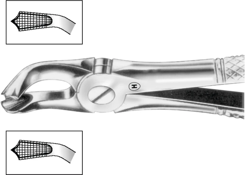 Zahnzangen  Stück  HSA 580-79, Figur 79, für untere Weisheitszähne, beide Seiten