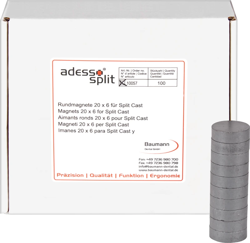Splitcast Rundmagnete  Packung  100 Stück 20 x 6 mm
