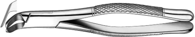 Zahnzange, amerikanische Form  Stück  Spaltzange für UK