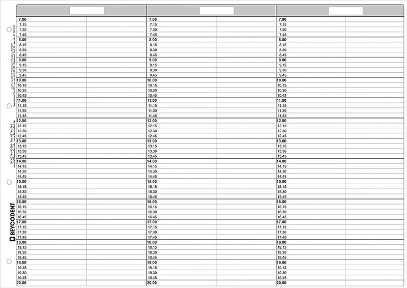 Terminblätter A3 für Ringbuch   Nachfüllpackung  53 Stück Typ 232