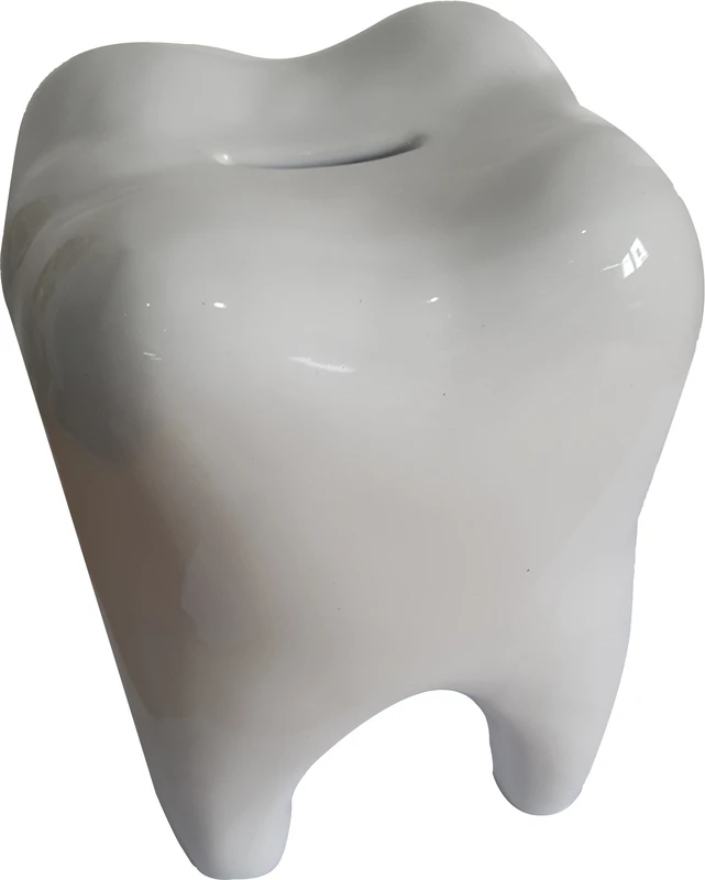 Spardose Zahn  Stück  10 x 15 cm