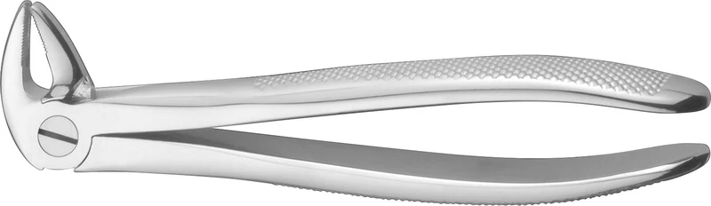 Zahnzangen  Stück  E13, UK für Front- und Prämolaren