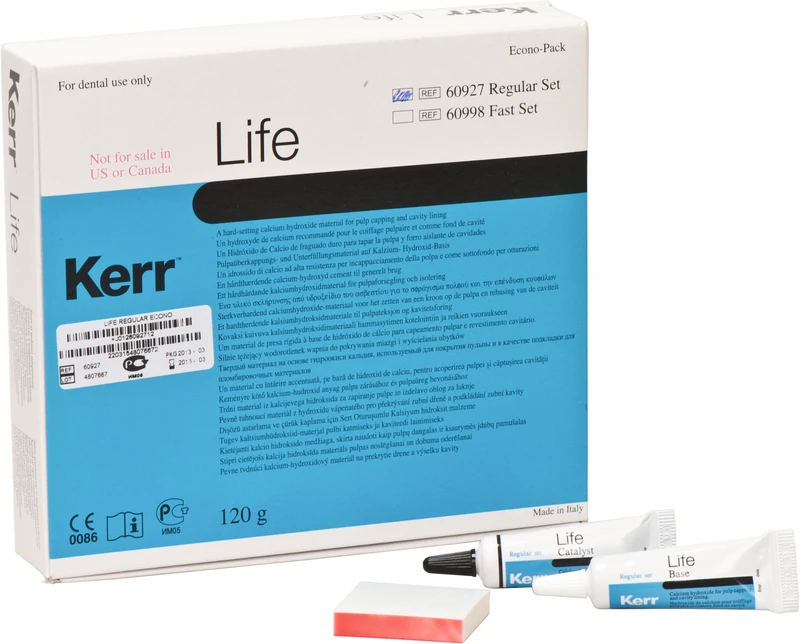 Life  Packung  5 x 12 g Basis- und Katalysatorpaste regular, 1 Anmischblock