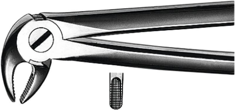 Zahnzangen nach Büchs  Stück  M2013, UK für Prämolaren, Frontzähne