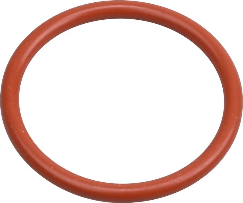 AIR-FLOW® Prophylaxis Master Dichtring  Stück  für Pulverkammerdeckel