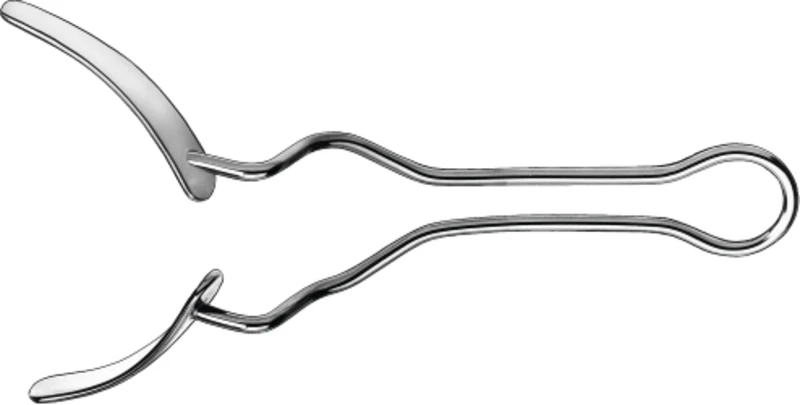 Vestibulumabhalter  Stück  1886