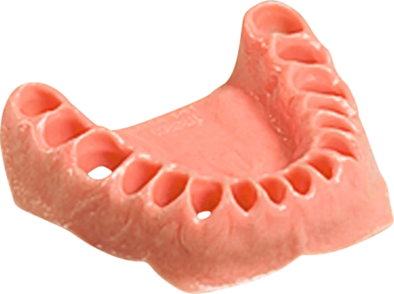 Dentalhygiene-Modell  Stück  UK