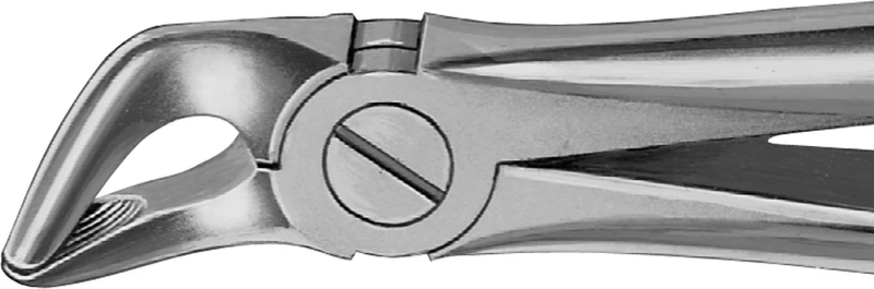 Anatomica-Zahnzangen  Stück  DG500R, für untere Prämolaren