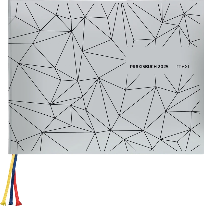 Praxisbuch Maxi  Stück  2025