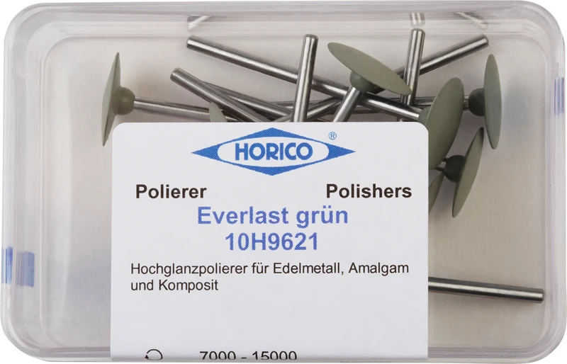 Everlast  Packung  10 Stück grün, HP, ISO 145