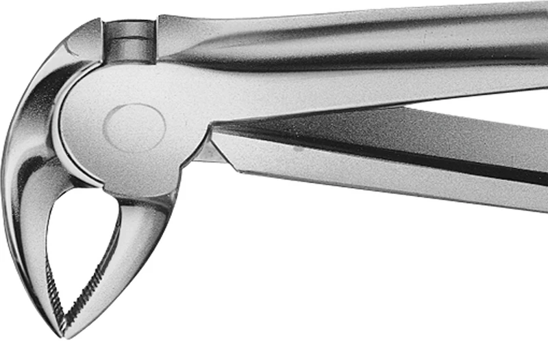 Anatomica-Zahnzangen nach Büchs  Stück  DH733R, für untere Schneidezähne, Prämolaren und Wurzeln