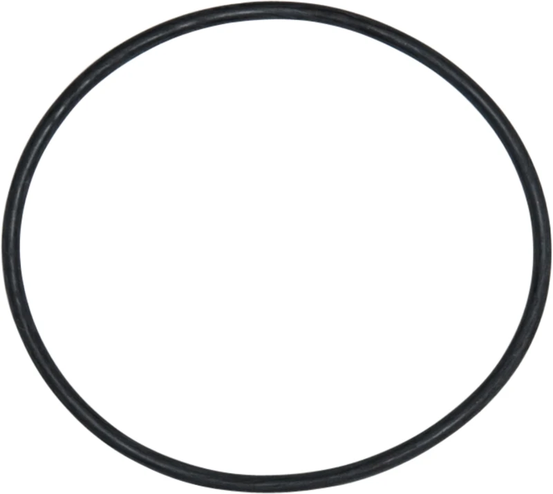 Neacid Dichtungsring  Stück