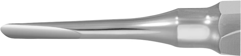 Wurzelheber  Stück  DL360R, 150 mm, 2 mm, gerade