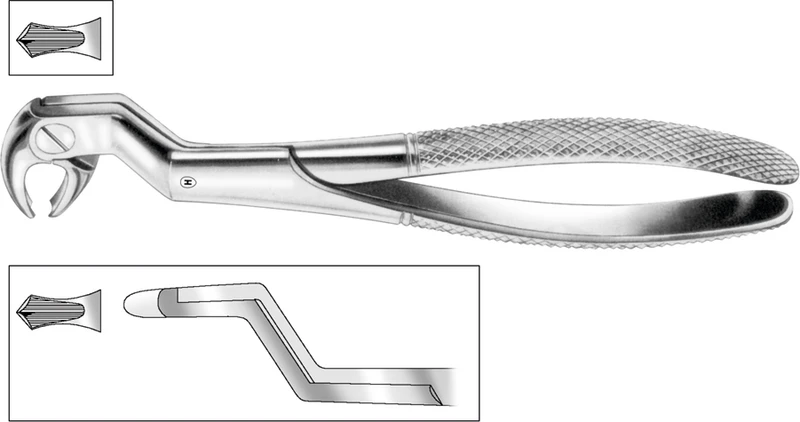 Zahnzangen  Stück  HSA 080-22, Figur 22 1\2 L, für untere Molaren und Weisheitszähne links