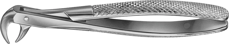 Anatomica-Zahnzangen  Stück  DG570R, für untere Molaren, tiefgreifend, von lateral