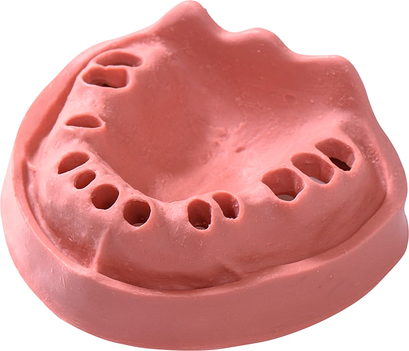 Modelle Gingiva  Stück  OK TZ 12N