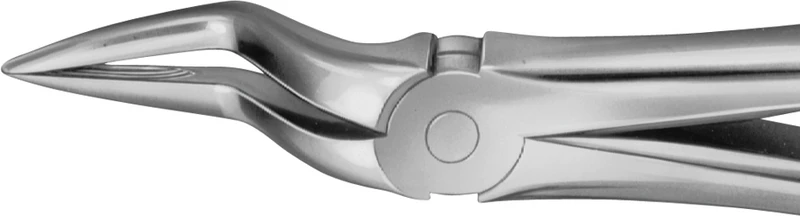 Anatomica-Zahnzangen  Stück  DG365R, für obere Wurzeln, mit besonders langem Maul