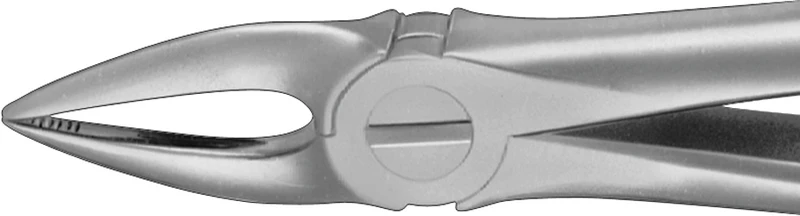 Anatomica-Zahnzangen nach Kaiser  Stück  DG300R, für obere Frontzahnwurzeln