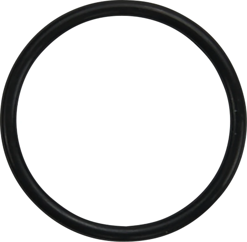 O-Ring  Packung  10 Stück für Mikromotor INTRA \ INTRA LUX