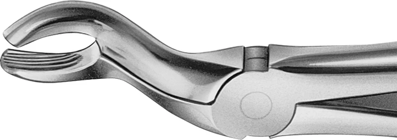 Anatomica-Zahnzangen  Stück  DG252R, für obere Weisheitszähne, breit