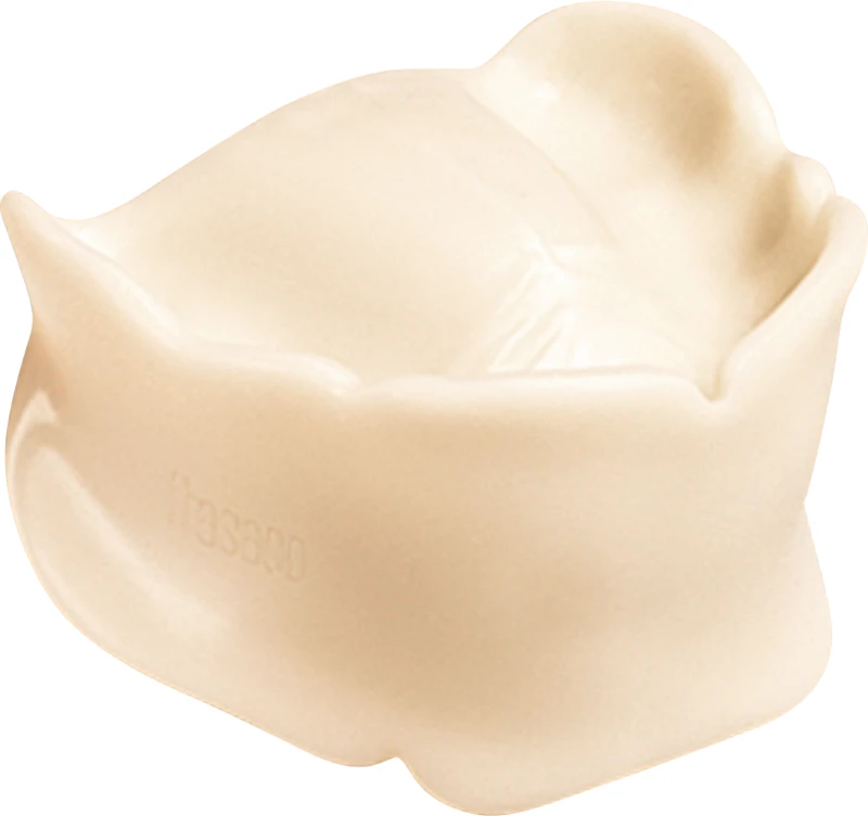 Bissschablone  Stück  für B-3 NT