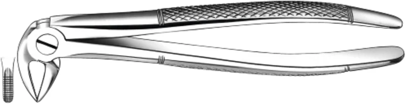 Zahnzangen  Stück  E33, UK für Wurzeln