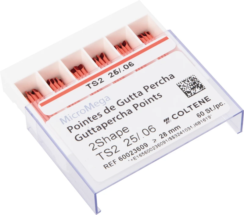 2Shape GP Points  Packung  60 Stück TS2, SB, Taper .06, ISO 025