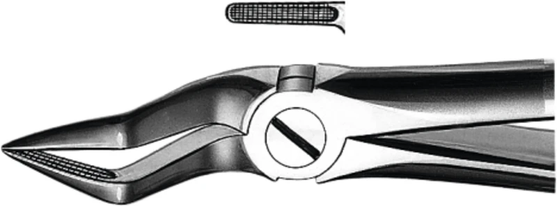 Zahnzangen nach Büchs  Stück  M2051A, OK für Wurzeln