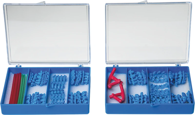 Zwischenglieder  Einführungsset