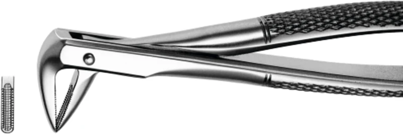 Zahnzangen  Stück  M74, UK für Wurzeln