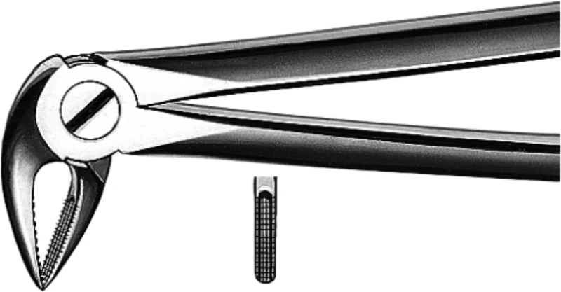 Zahnzangen nach Büchs  Stück  M2033A, UK für Wurzeln