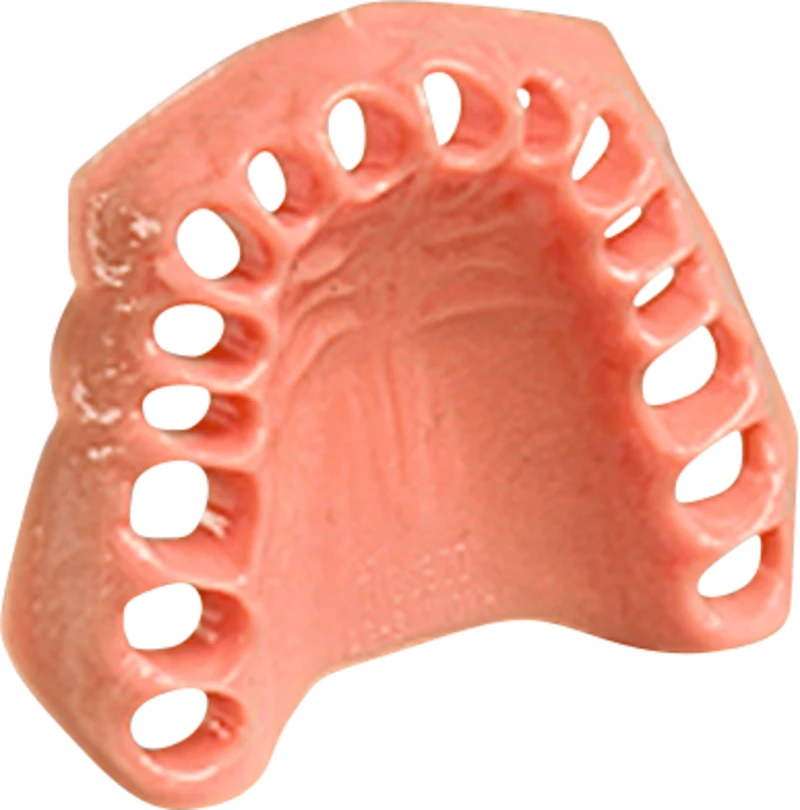 Dentalhygiene-Modell  Stück  OK