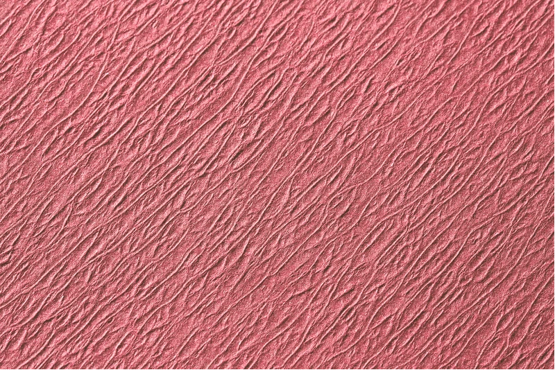 Dental Tray-Einlagen  Karton  10 x 250 Stück 18 x 28 cm, rosa