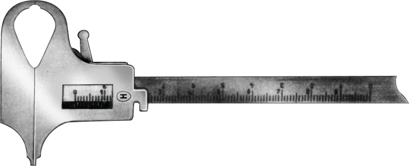 Schieblehren nach Boley  Stück  HSL 247-00