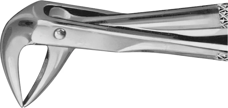 Anatomica-Zahnzangen  Stück  DG704R, für untere Wurzeln, Maul 4,5 mm