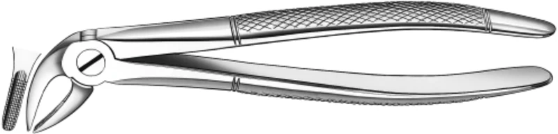 Zahnzangen  Stück  4, UK für Schneidezähne, Eckzähne