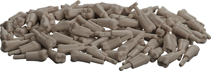 Schnappzahn Modell Molar  Packung  100 Stück Nr. 37