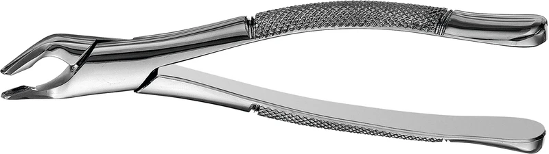 Zahnzange nach Apical  Stück  FAF151