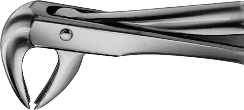 Anatomica-Zahnzangen nach Trotter  Stück  DG430R, für untere Eckzähne und Prämolaren