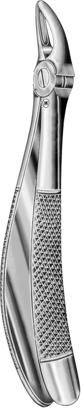 Kinderzahnzange nach Klein  Stück  HSA 321-30, Figur 30S, obere Prämolaren und Wurzel