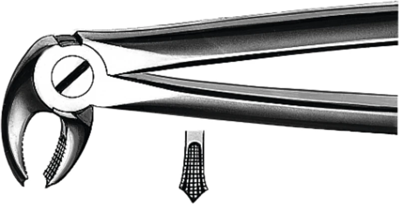 Zahnzangen nach Büchs  Stück  M2022, UK Molaren beide Seiten