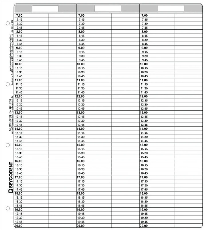 Terminblätter Classic Format   Nachfüllpackung  53 Stück Typ 202