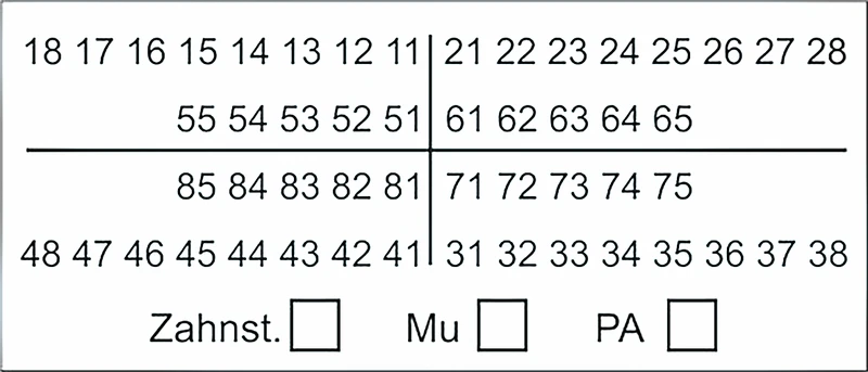 Zahnschema Z01 groß  Stück  Trodat-Automat 57 x 23 mm