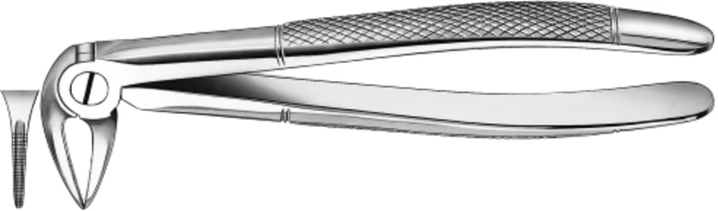 Zahnzangen  Stück  133 1\2, UK für Wurzeln