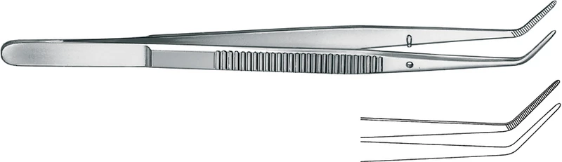 Zahnpinzetten nach London-College  Stück  15 cm, gewinkelt, Figur 5