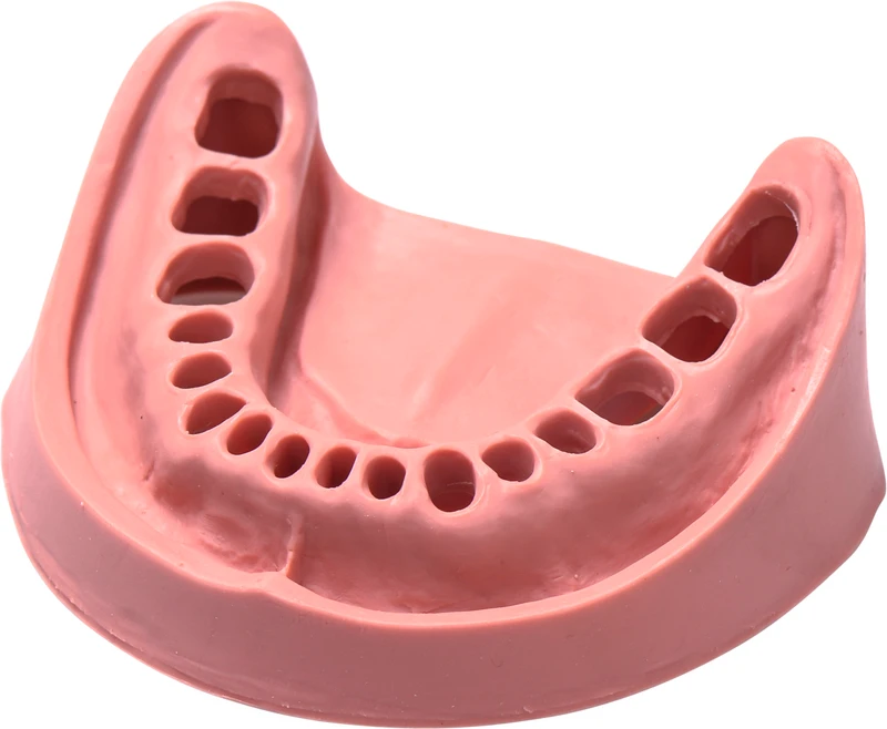 Modelle Gingiva  Stück  UK VZ