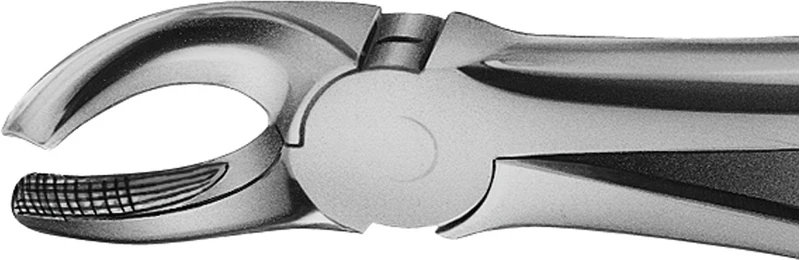 Anatomica-Zahnzangen nach Büchs  Stück  DH718R, für obere Molaren, links