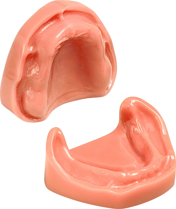 Arbeitsmodell B-3  Stück  OK\UK zahnlos, Metallrückenplatte mit Gewinde