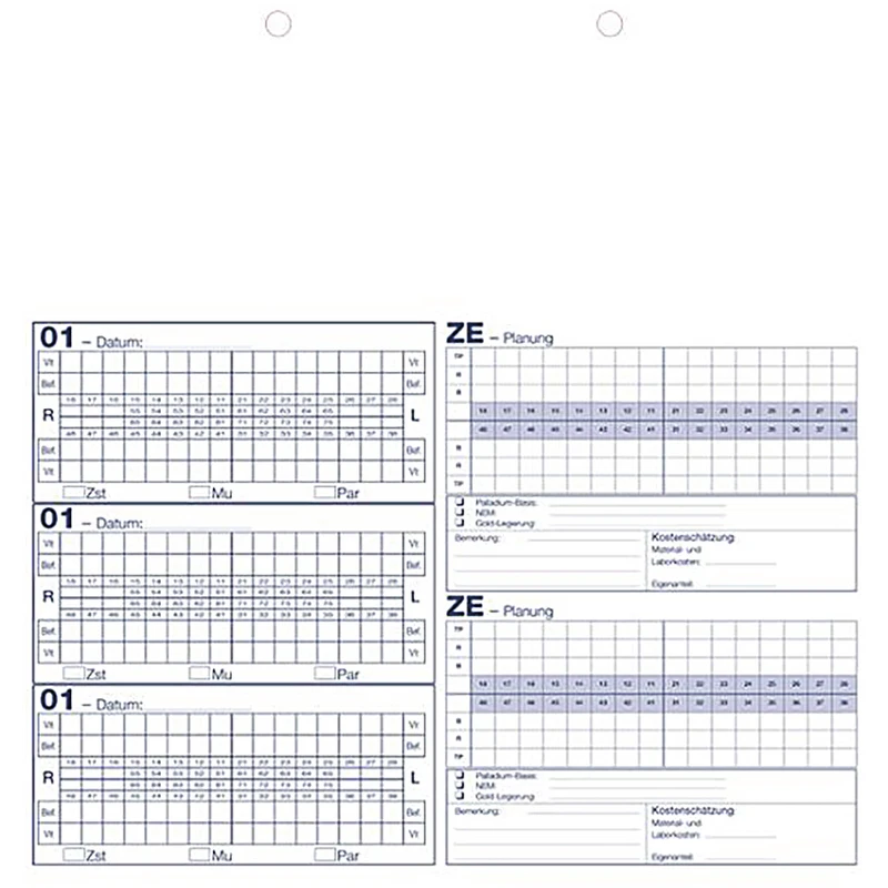 Kartei-Einlegeblätter  Packung  100 Stück A4, Typ B, Bema