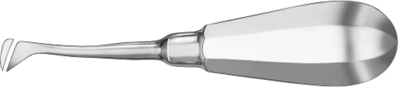 Wurzelheber nach Apical  Stück  561\24